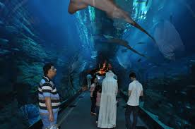 We are proud to be a Guinness World Record holder! 🌍 ✨ On 3rd ...